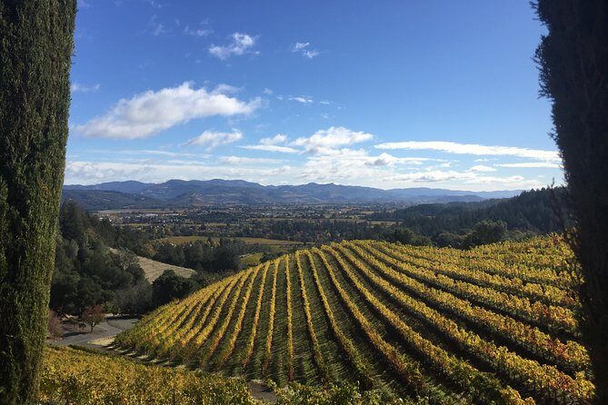 6-Hour Private Wine Country Tour of Napa Valley (up to 6 people) in Large SUV - An Overview of What You Can Expect