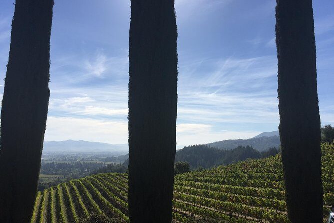 6-Hour Private Wine Country Tour of Napa Valley (up to 6 people) in Large SUV - Final Thoughts