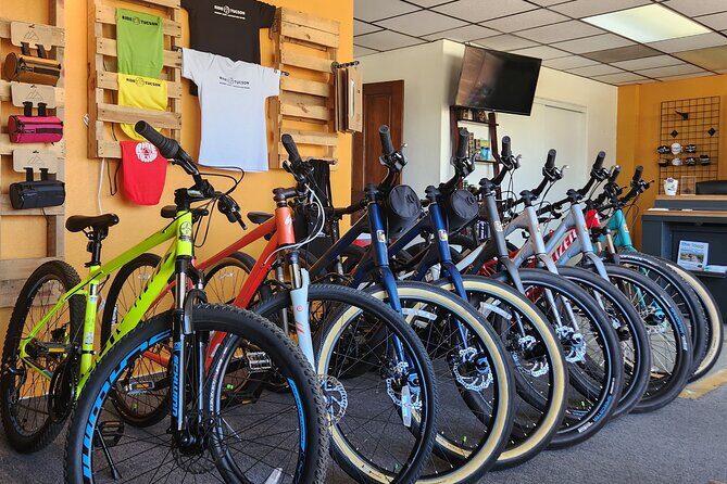 6-Hour Regular Bike Rental From Tucson - How the Pricing Reflects Value