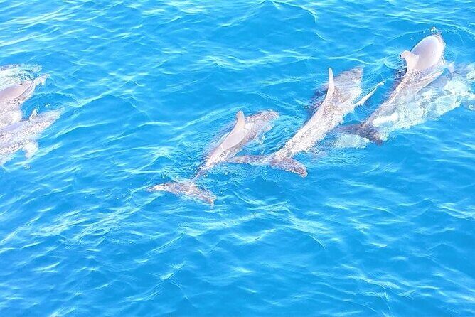 6-Hour Sailing Charter from Fort Lauderdale - Final Thoughts