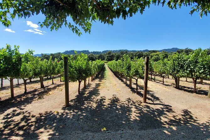 6-Hour Sparkling Wine Tour of Napa Valley - An In-Depth Look at the Napa Sparkling Wine Tour