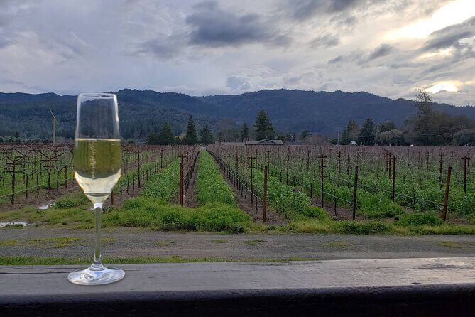6-Hour Sparkling Wine Tour of Napa Valley - Final Thoughts