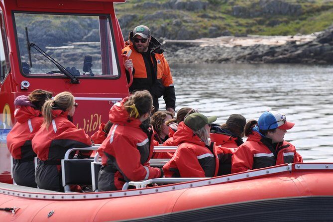 6 hour Zodiac Whale Watching Tour - Price and Value