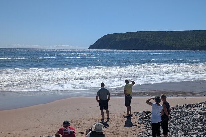 6 Hours Cabot Trail, Keltic Lodge and Ingonish Sights Tour - Real Traveler Insights