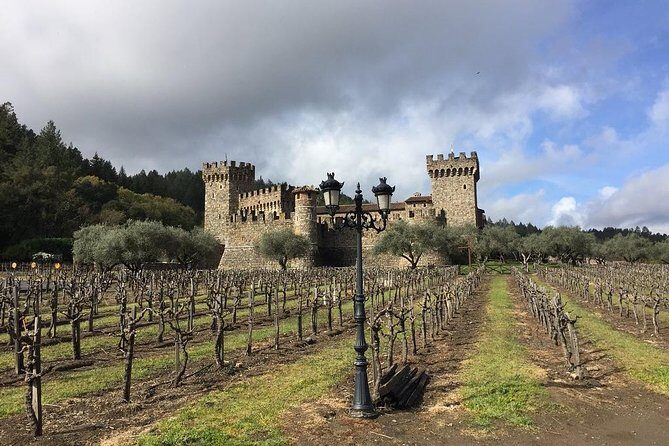 6-Hours Private Napa Wine Tour in a MKT sedan ( 2 Passengers) - Who Should Consider This Tour?