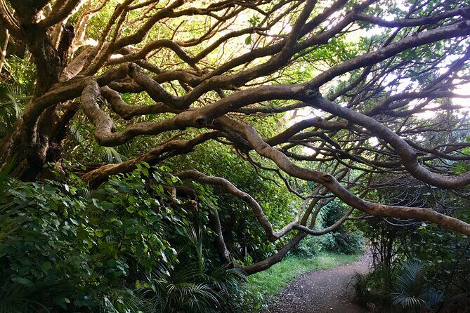 6 Hours Sightseeing Tour in Auckland - Key Points