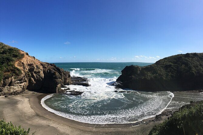 6 Hours Sightseeing Tour in Auckland - What to Expect from This Tour