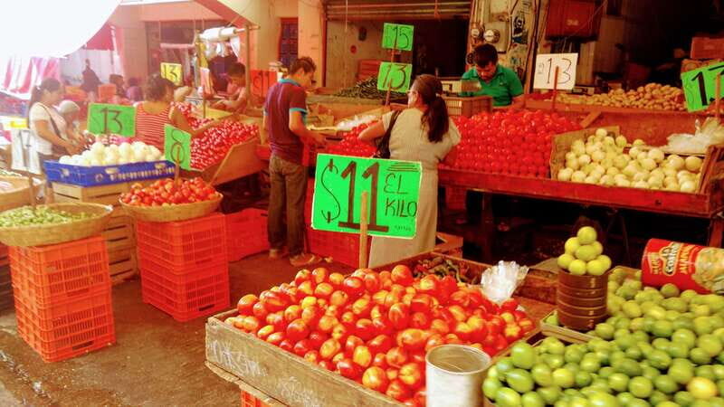 6 Hr City Tour Divers Turtles, All Attractions Only Hotels - Authentic Experiences From Real Travelers