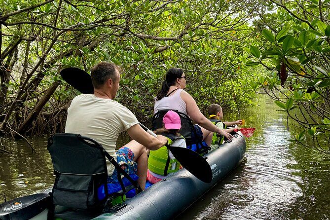 6-Hr Tropical Mangroves, Coastal River and Ocean Wildlife Watch - An In-Depth Look at the Tour Experience