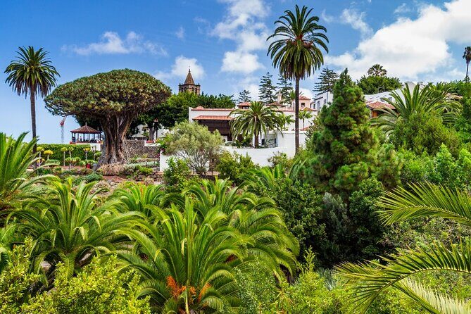 6 Hrs Private Tour In Tenerife - Who Should Consider This Tour?
