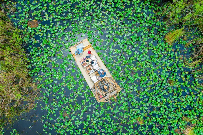 60 min. Everglades Airboat ride & pick-up ,small group +pro guide - A Closer Look at the Itinerary and Experience