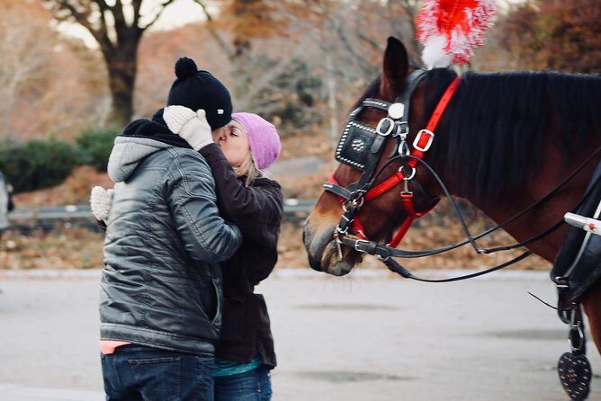 60 min surprise proposal carriage ride - FAQ