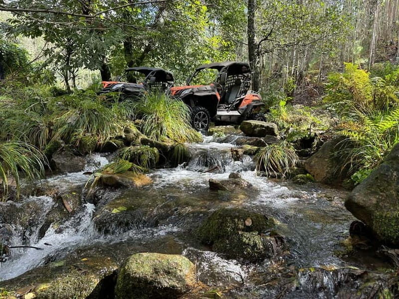 60-minute Buggy Tour - Exploring the Natural Beauty of Norte Region with a Buggy Ride