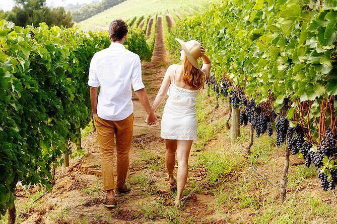 6hr | 12 Passenger Mercedes Limo Sprinter Bus - Who Is This Tour Best For?