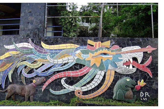 6Hr Cruisers or Hotels High Diver Peace Chapel BabyTurtleRelease - Who Should Consider This Tour?