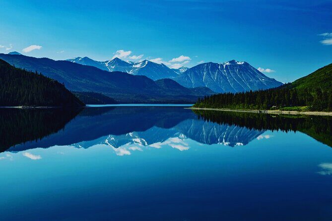 6hr Custom Private Tour of Ketchikan (4 People) Wildlife + More - What to Expect from the Itinerary