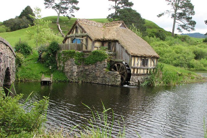6hr Hobbiton Movie Set Tour - Departs Tauranga - What the Reviews Say