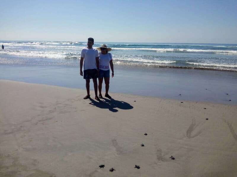 .6Hr Tour Diving Show Baby Turtle Release & All Attractions - An In-Depth Look at the Acapulco Tour Experience