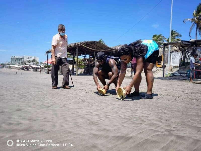.6Hr Tour Diving Show Baby Turtle Release & All Attractions - How It Compares to Other Options