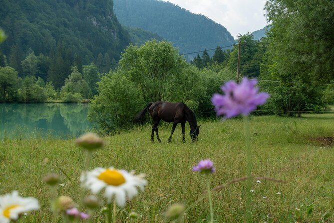 7 Alpine Wonders- Day Tour Bled, Soca valley, Slovenia - A Deep Dive Into the Itinerary