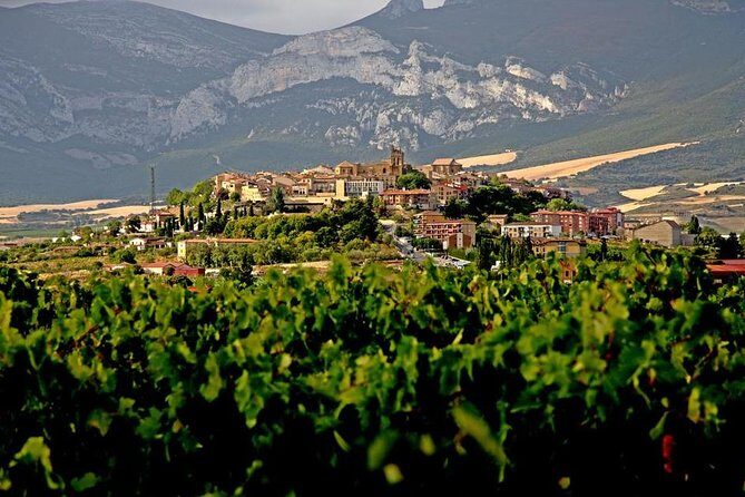 7-Day Bilbao and Basque Country - What Makes This Tour Stand Out