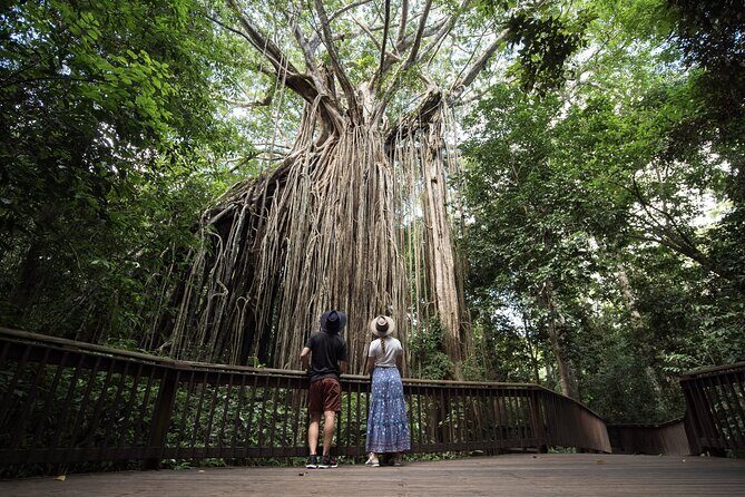 7 Day Brisbane to Cairns Boutique Whitsundays Great Barrier Reef - The Practical Side: What’s Included & What’s Not