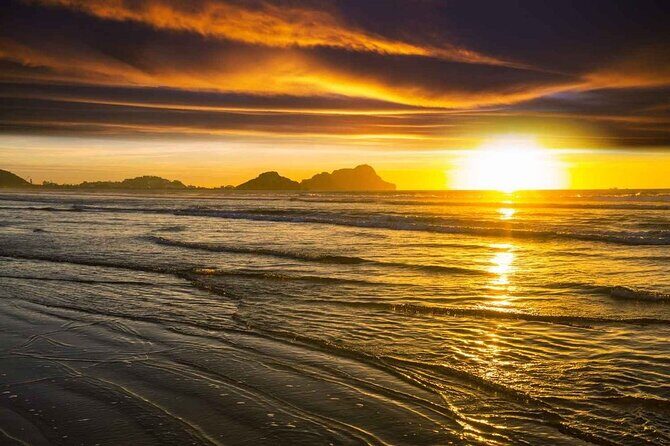 7 Day Guided Small Group Tour On Vancouver Islands West Coast - Key Points