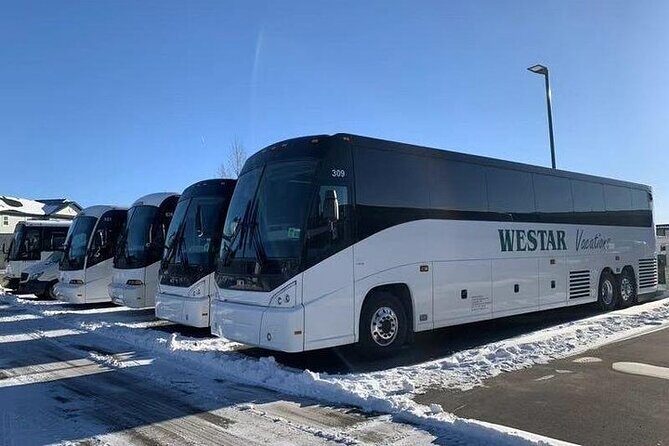 7-Day Rockies Tour: Banff, Yoho, Jasper, Waterton, Drumheller - Day 7: Ancient Landforms and Final Shopping