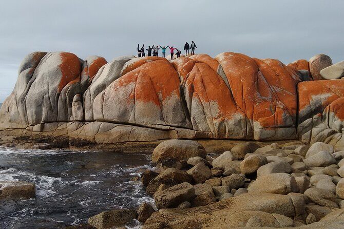 7-Day Super Value Tour of Tasmania: Explore Tasmania's West and East Coasts - Who Should Consider This Tour?