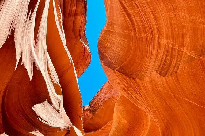 7 Days Tour of Los Angeles, Vegas, Yellowstone and Salt Lake City - Final Thoughts