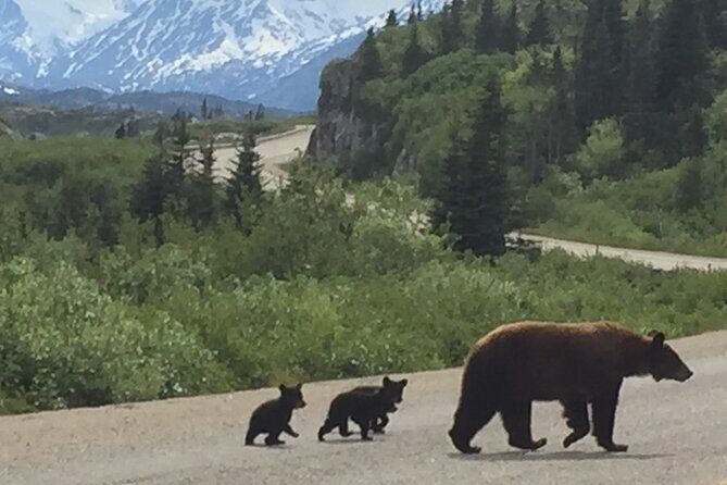 7 Hour Private Emerald Lake Van Excursion - What Travelers Say