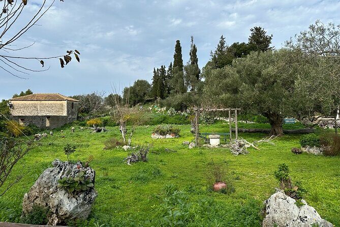 7 Hour Shared 4x4 Off Road Experience in Zakynthos - The Itinerary Breakdown: What to Expect