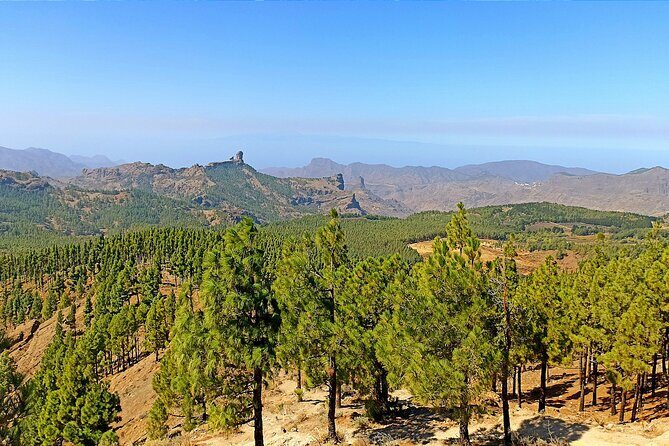 7-Hours Private Tour Volcanoes and Wine Region in the Canary Islands - Key Points