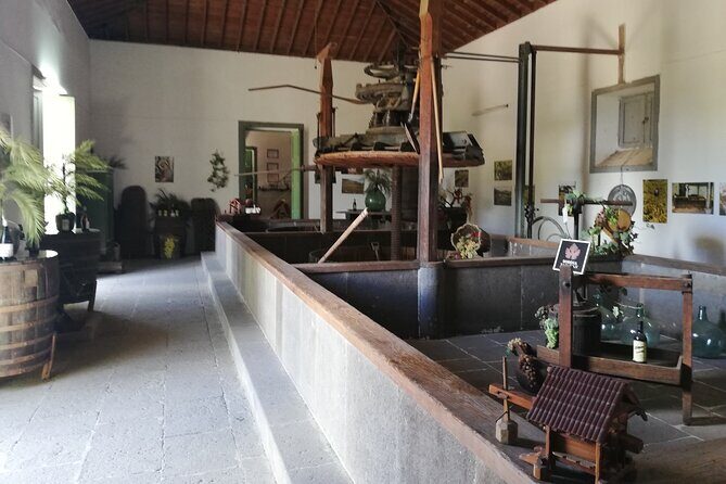 7-Hours Private Tour Volcanoes and Wine Region in the Canary Islands - Who Should Consider This Tour?