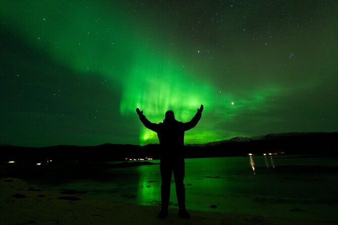 7 hours Tromsø Aurora Tour: Photos, snacks & warm drinks included - Tromsø Aurora Tour: Photos, Snacks & Warm Drinks Included — Honest Review