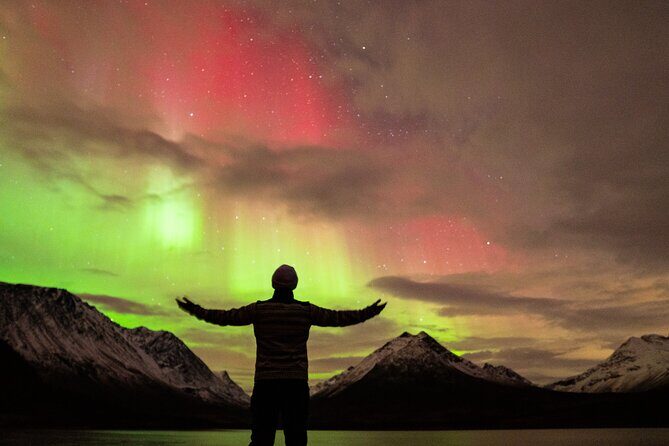 7 hours Tromsø Aurora Tour: Photos, snacks & warm drinks included - Key Points