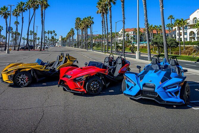 7 Magic Mountains Tour and Las Vegas sign on a Slingshot - Pricing and Value