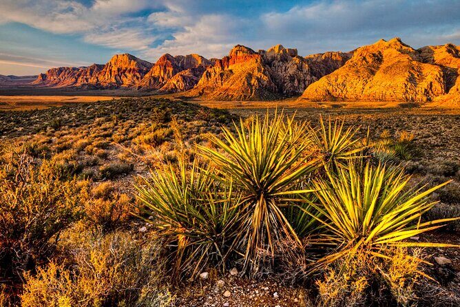 7 Magic Mountains Tour and Las Vegas sign on a Slingshot - Final Thoughts