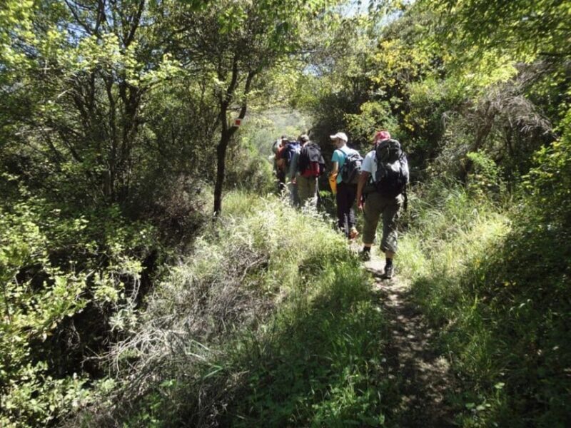 8-day Archaeology & Activity Holiday in Greece - Value for Price