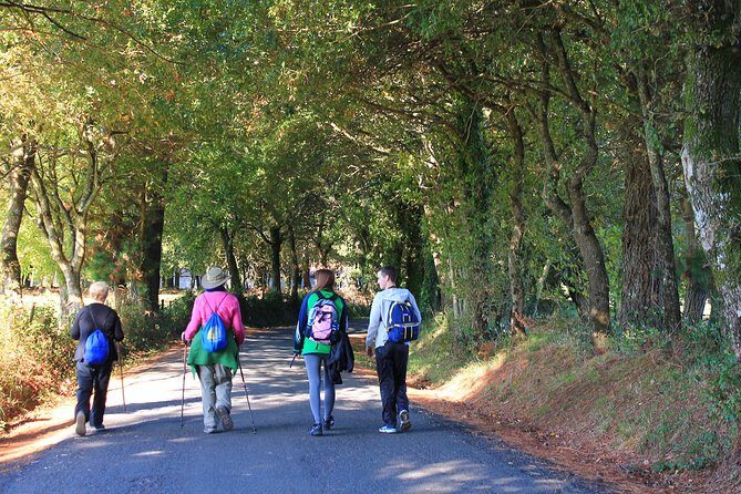 8-Day Camino Frances Pilgrimage Tour from Sarria to Santiago - 2nts Santiago - An honest look at the journey: what to expect along the route