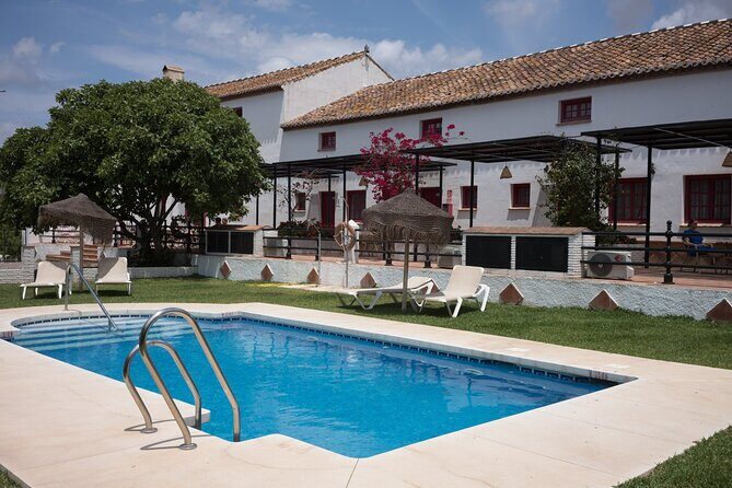 8 Day Guided Cycling and Walking Tour of Andalusia, Spain - A Closer Look at the Itinerary