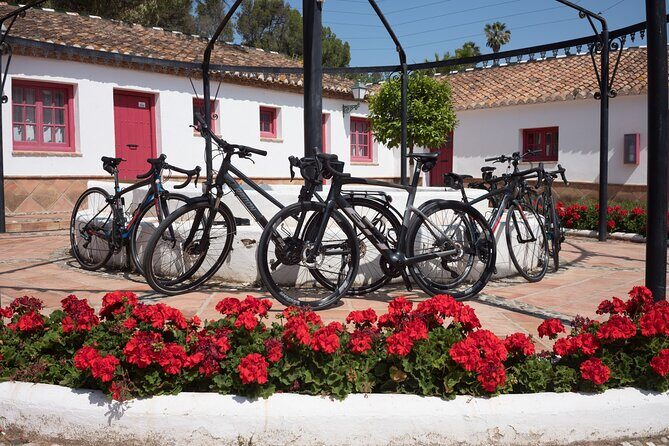 8 Day Guided Cycling and Walking Tour of Andalusia, Spain - Who Will Love This Tour?