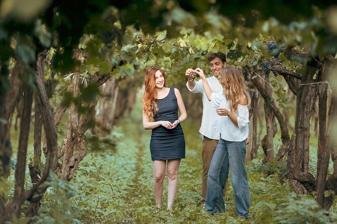 8 Days Small Group Food & Wine Tour of Sicily (Max 8 Guests) - Who Is This Tour Best For?