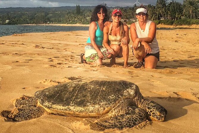 8 Hour Circle Island Jeep Tour - Exploring the Itinerary and What to Expect