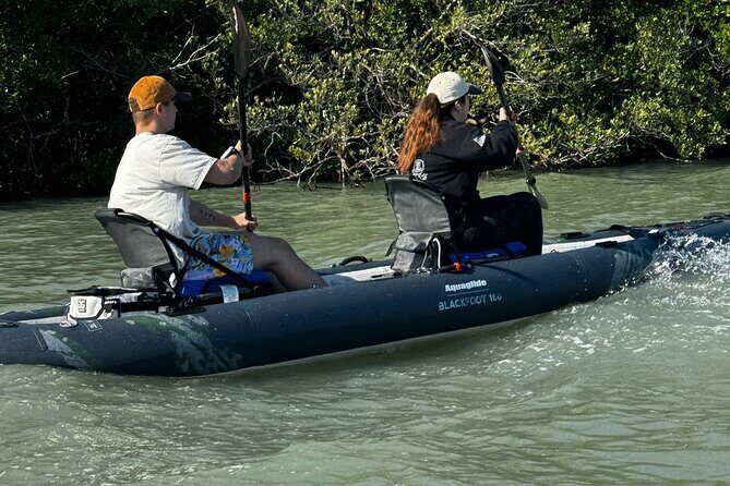 8-Hour Jungle Tour and Lagoon Passage to the Ocean in Fort Pierce - A Detailed Look at What You Can Expect