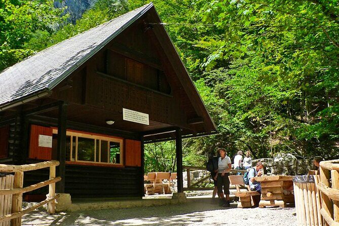 8-Hour Lake Bled, Lake Bohinj and Waterfall Savica Tour - The Itinerary: What to Expect on the Day