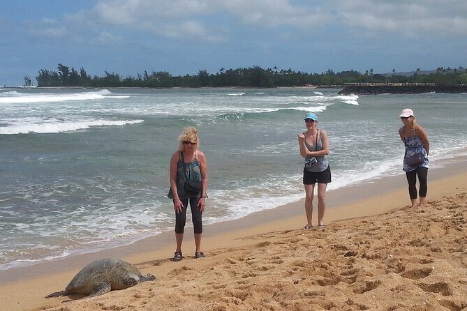 8-Hour Luxury Four Door Convertible Tour of Oahu's South and North Shores - Final Thoughts