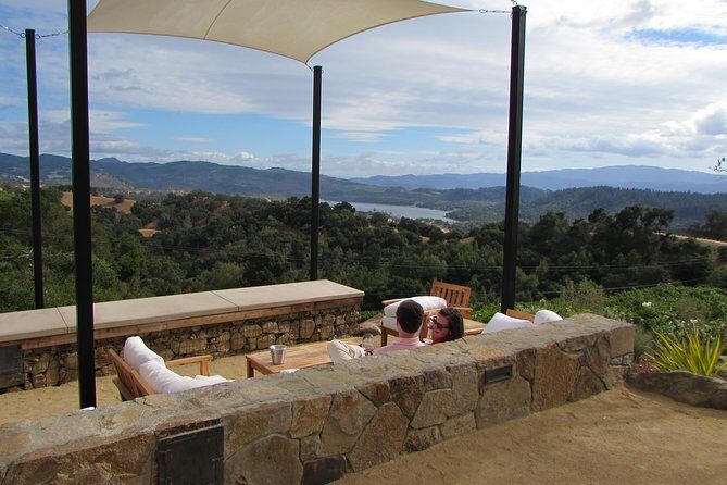 8 Hour Private Customized Wine Tour up to 7 Guests Napa & Sonoma - Who Is This Tour Best For?