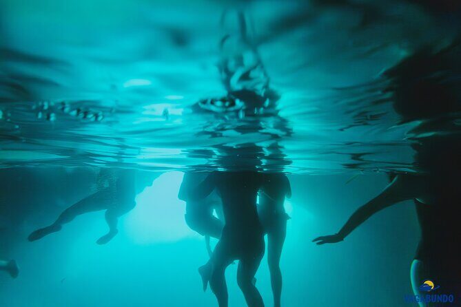 8 Hour Private Sea Safari Speedboat Dubrovnik - The Bottom Line: Who Should Consider This Tour?