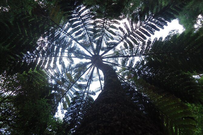 8-Hour Private Tour in 4x4 Vehicle from Ponta Delgada - Final Thoughts: Is This Tour Right for You?